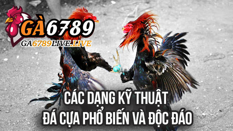 Các Dạng Kỹ Thuật Đá Cựa Phổ Biến và Độc Đáo