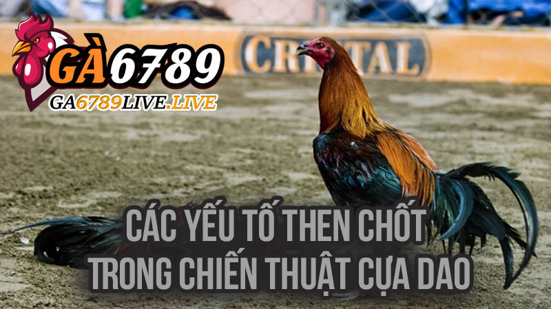 Các Yếu Tố then Chốt Trong Chiến Thuật Cựa Dao
