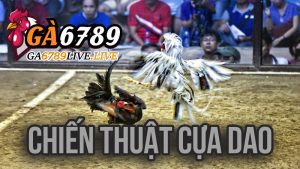 Chiến Thuật Cựa Dao
