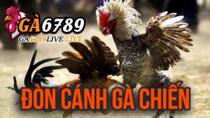 Đòn Cánh Gà Chiến