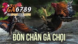 Đòn Chân Gà Chọi