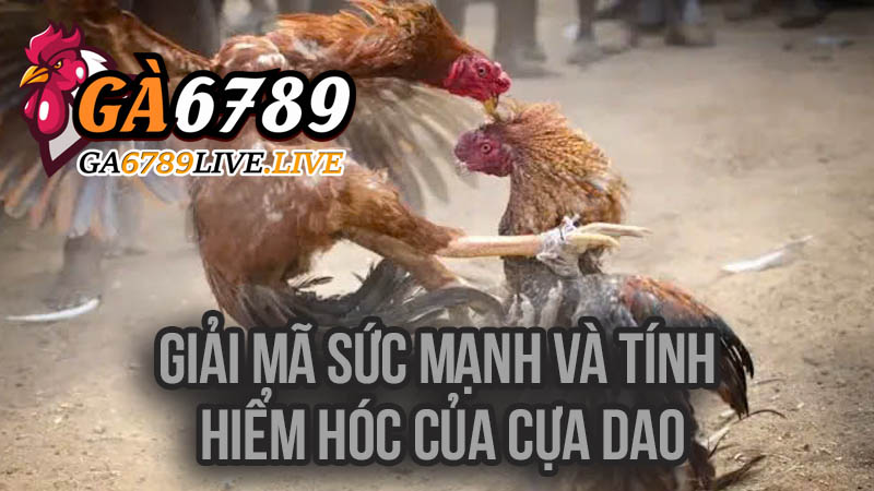 Giải Mã Sức Mạnh và Tính Hiểm Hóc của Cựa Dao