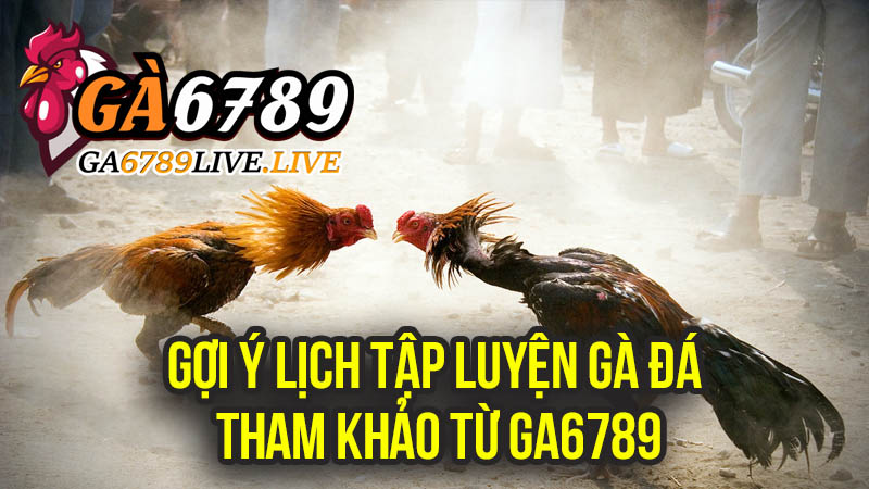 Gợi Ý Lịch Tập Luyện Gà Đá Tham Khảo Từ Ga6789
