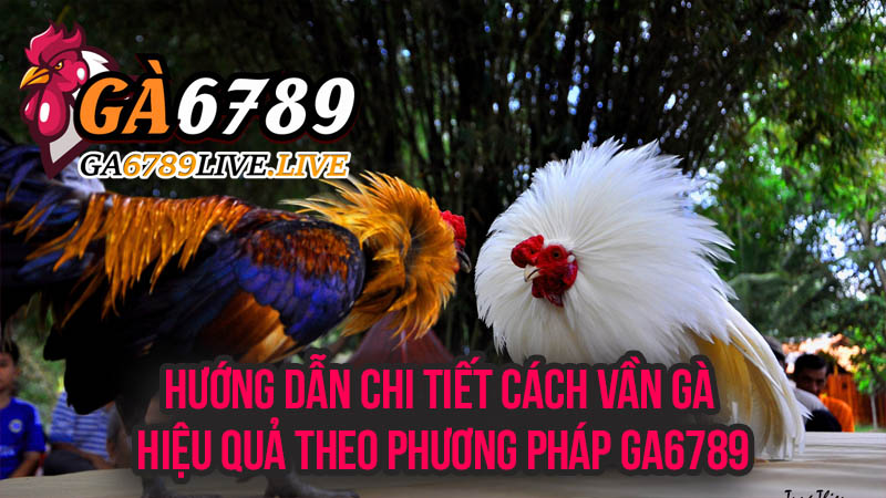 Hướng Dẫn Chi Tiết Cách Vần Gà Hiệu Quả Theo Phương Pháp Ga6789