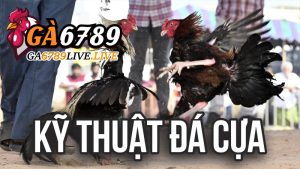 Kỹ Thuật Đá Cựa