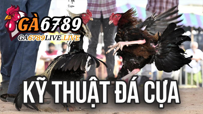 Kỹ Thuật Đá Cựa