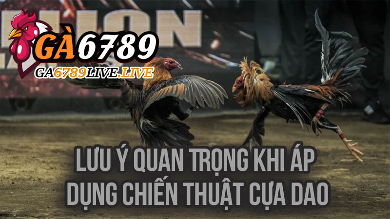 Lưu Ý Quan Trọng Khi Áp Dụng Chiến Thuật Cựa Dao