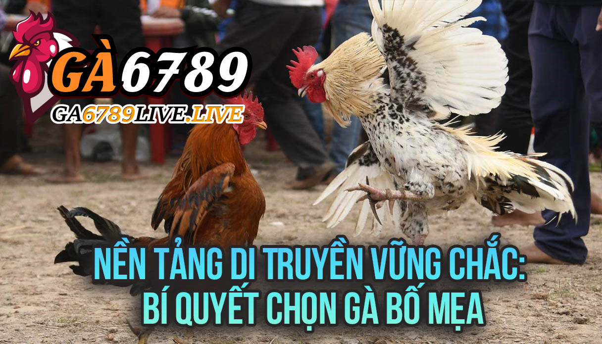 Nền Tảng Di Truyền Vững Chắc: Bí Quyết Chọn Gà Bố Mẹ