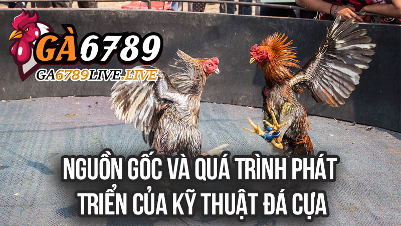 Nguồn Gốc và Quá Trình Phát Triển Của Kỹ Thuật Đá Cựa