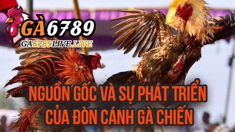 Nguồn Gốc và Sự Phát Triển Của Đòn Cánh Gà Chiến