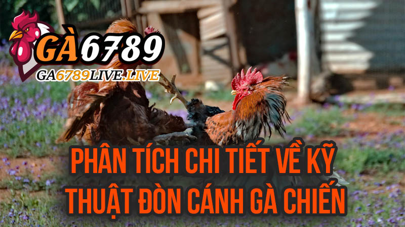 Phân Tích Chi Tiết Về Kỹ Thuật Đòn Cánh Gà Chiến
