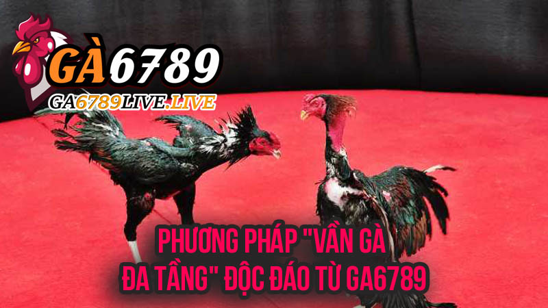 Phương Pháp "Vần Gà Đa Tầng" Độc Đáo Từ Ga6789