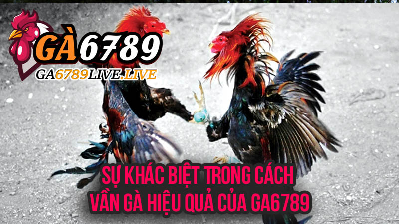 Sự Khác Biệt Trong Cách Vần Gà Hiệu Quả Của Ga6789