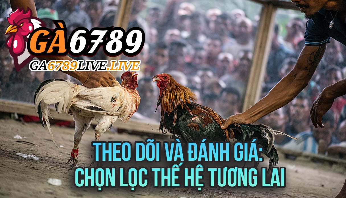 Theo Dõi và Đánh Giá: Chọn Lọc Thế Hệ Tương Lai