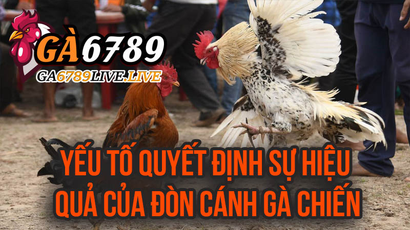 Yếu Tố Quyết Định Sự Hiệu Quả Của Đòn Cánh Gà Chiến